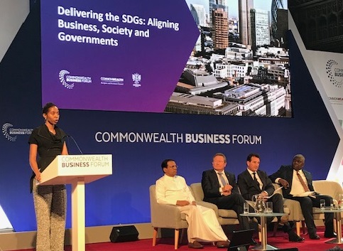 Delivering the SDGs: Aligning Business, Society and Governments