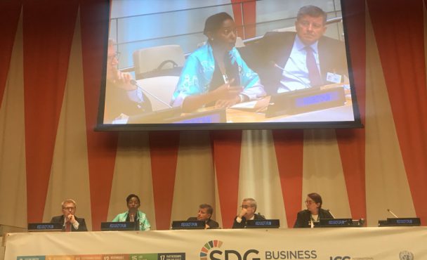 LADOL MD Asks UN To Support Private Sector In Developing Countries