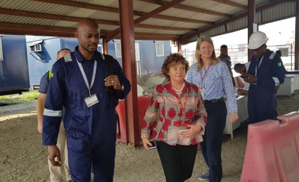 New British High Commission Visit to Ladol Free Zone hosted by Mr Jide Jadesimi